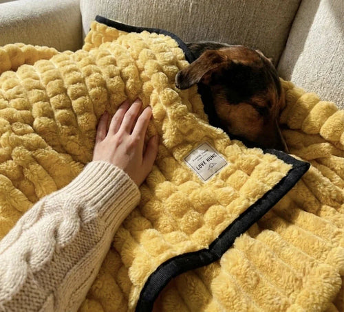 Perro dormido con la manta suave Cannio